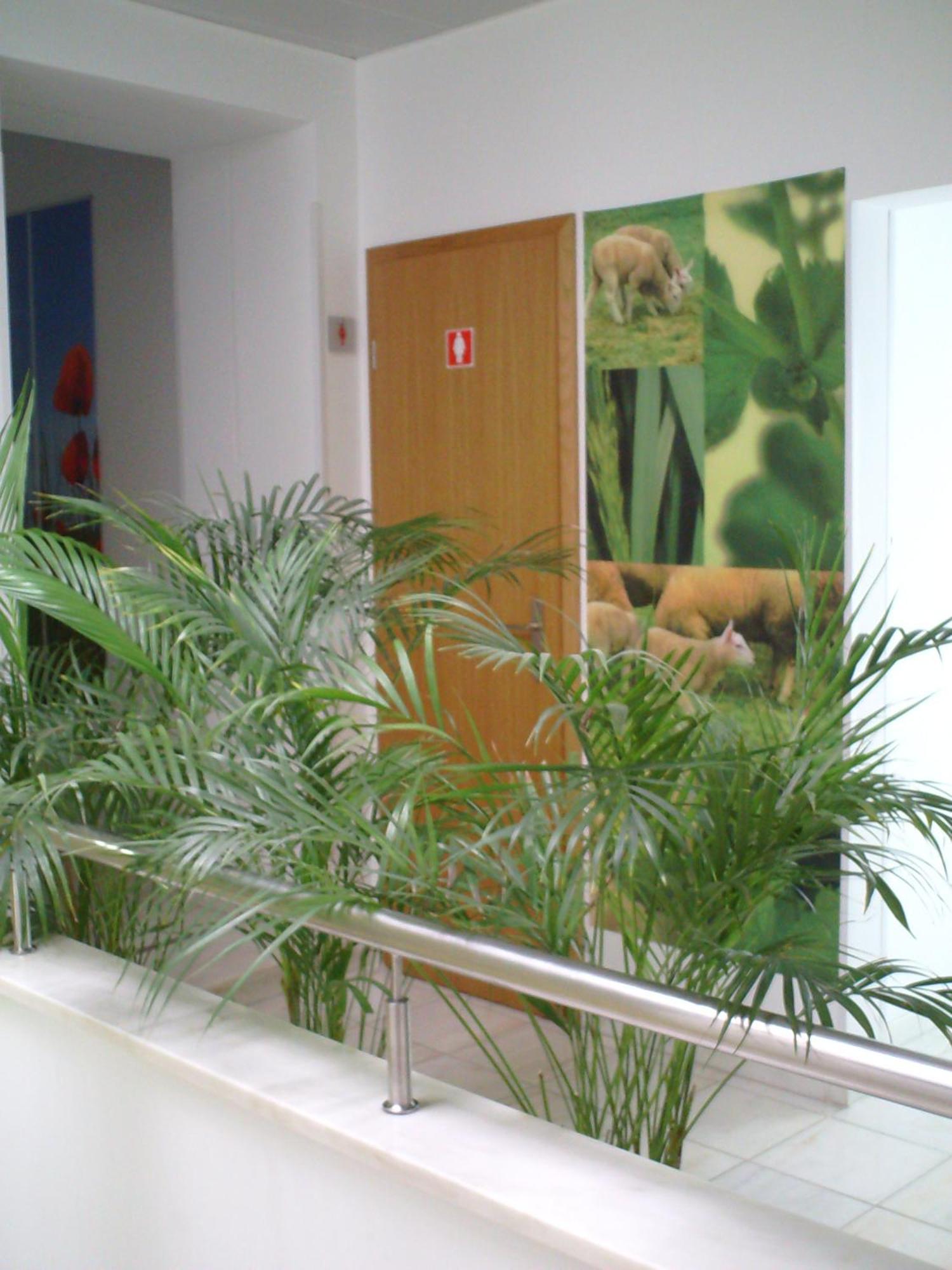 Hotel Serafim Almodovar Exterior photo